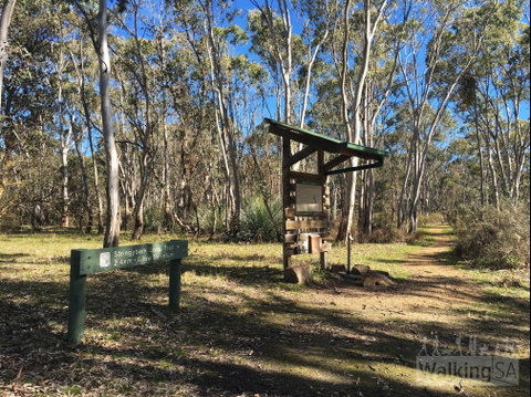 Kaiserstuhl Conservation Park - Accommodation Search 0