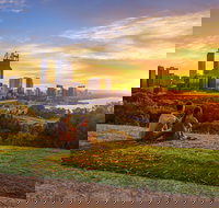 Kings Park and Botanic Garden - Accommodation Search