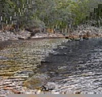 Lake Rowallan - Accommodation Search