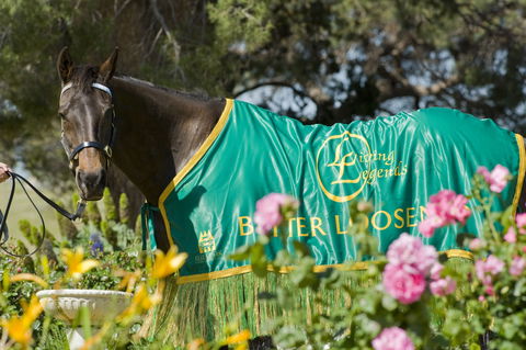 Living Legends: The International Home Of Rest For Champion Horses - Accommodation Search 0
