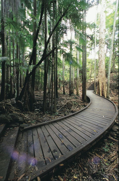 Mapleton Falls National Park - Accommodation Search 1