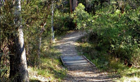 McDirtys Walking Track - Accommodation Search 0