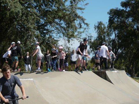 Millicent Skatepark - Accommodation Search 2