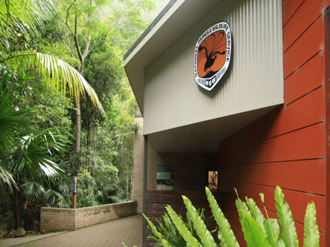 Minnamurra Rainforest Centre: Budderoo National Park - Accommodation Search 0