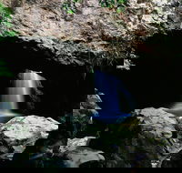 Natural Bridge Circuit Springbrook National Park - Accommodation Search