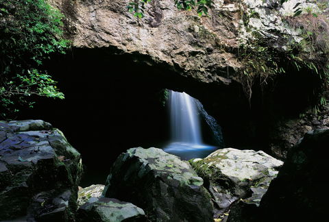 Natural Bridge Circuit, Springbrook National Park - Accommodation Search 0