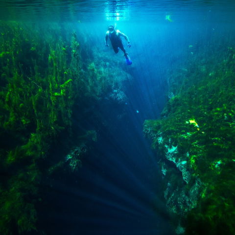 Piccaninnie Ponds Conservation Park - Accommodation Search 0