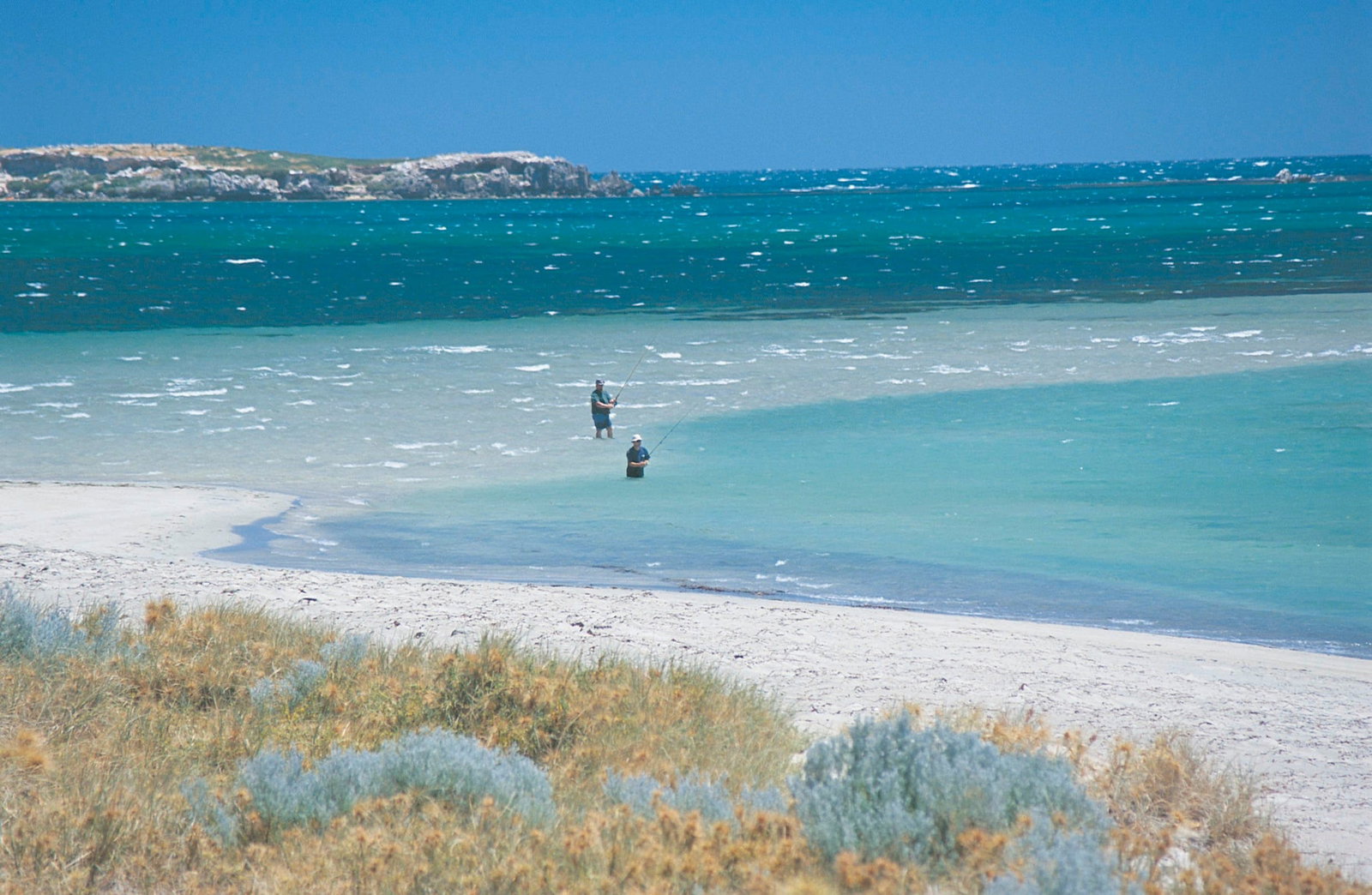 Singleton WA Accommodation Search