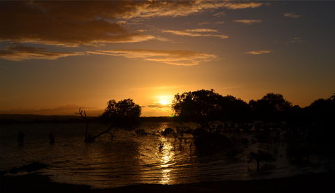Southend Curtis Island - Accommodation Search 0