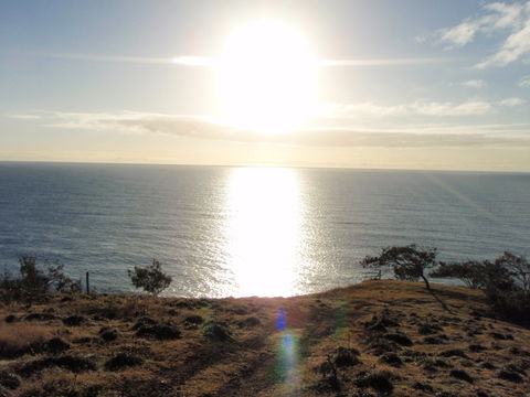 Southend Curtis Island - Accommodation Search 1