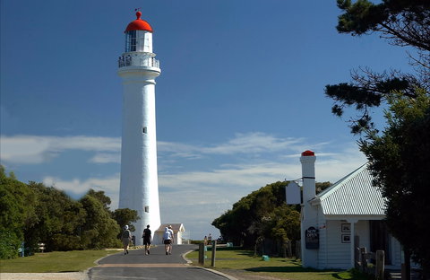 Split Point Lighthouse Tours Aireys Inlet - Accommodation Search 0