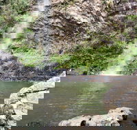 Twin Falls Circuit Springbrook National Park - Accommodation Search