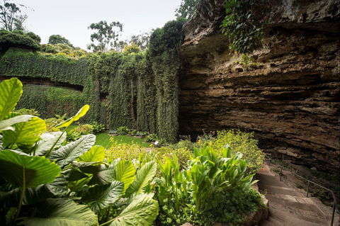 Umpherston Sinkhole - Accommodation Search 1