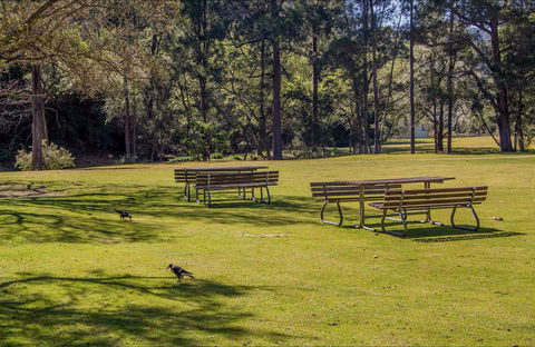 Wombeyan Picnic Area - Accommodation Search 0
