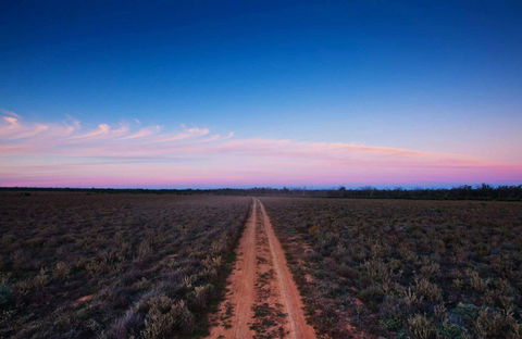 Yanga National Park - Accommodation Search 0