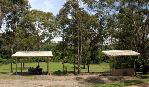 Back Creek Picnic Area - Accommodation Search 0