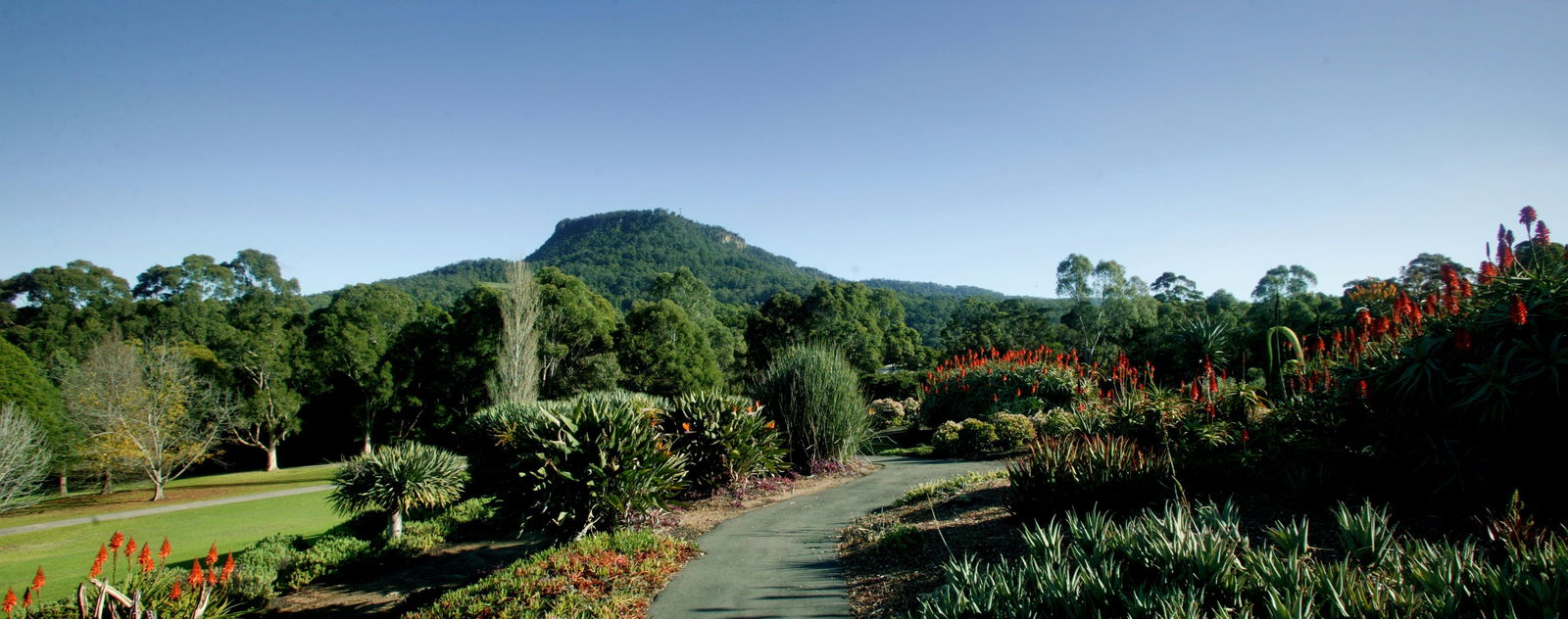 Keiraville NSW Accommodation Search