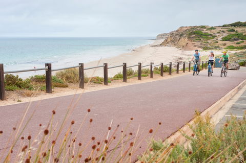 Coast To Vines Rail Trail - Accommodation Search 0