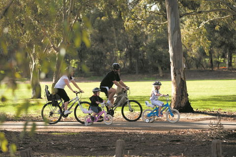 Coast To Vines Rail Trail - Accommodation Search 1