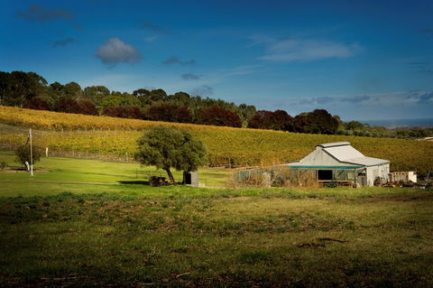 Coast To Vines Rail Trail - Accommodation Search 2