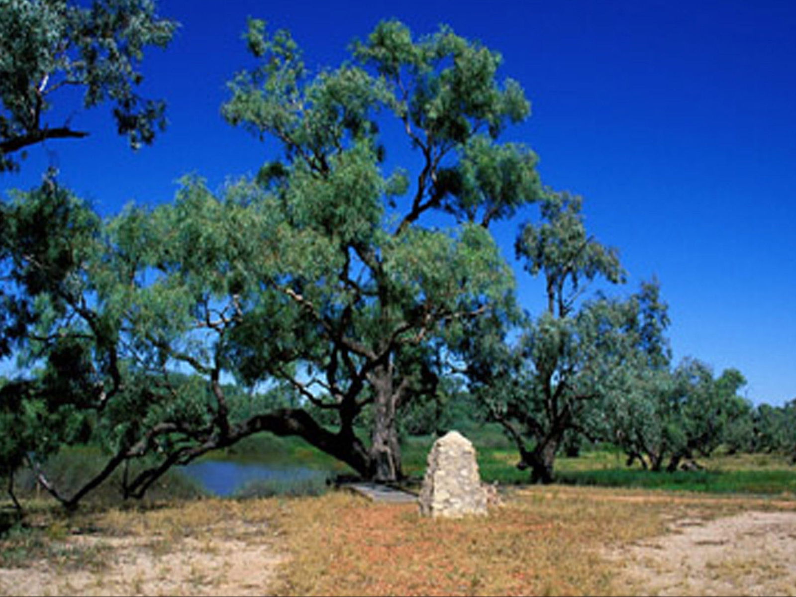 Comet QLD Accommodation Search