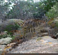 Dergholm State Park - Accommodation Search