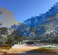Grenfell Endemic Garden - Accommodation Search