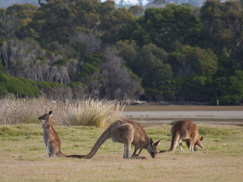 Great Nature Trail - Accommodation Search 0