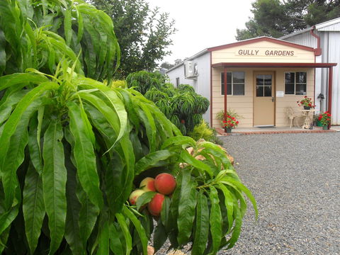 Gully Gardens - Accommodation Search 0