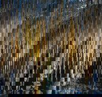 Hastings Caves and Thermal Springs - Accommodation Search