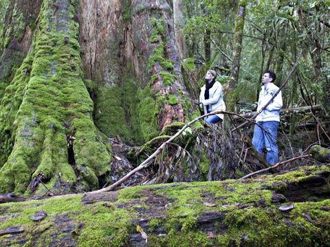 Hastings Caves And Thermal Springs - Accommodation Search 2