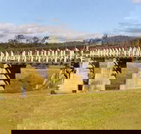 Historic Tabulam DeBurgh Timber Bridge - Accommodation Search