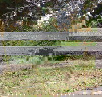 Nimmitabel Heritage Walk - Accommodation Search