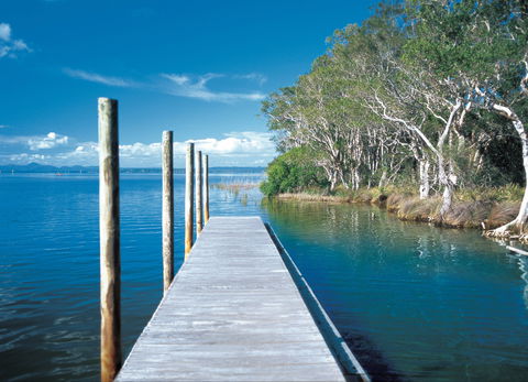Noosa Everglades - Accommodation Search 1
