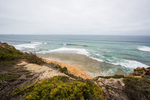 Ocean Grove Main Beach - Accommodation Search 1