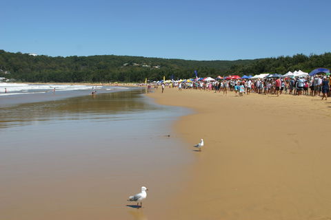 Ocean Beach Umina - Accommodation Search 0