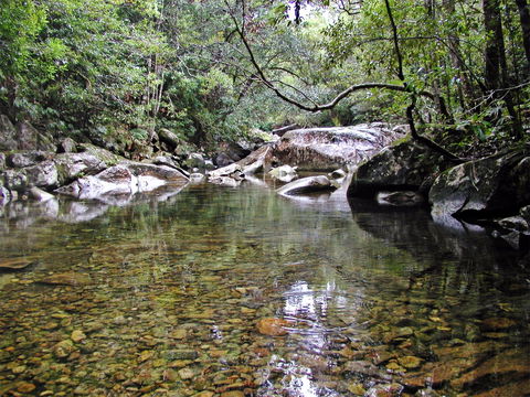 Orara River - Accommodation Search 2