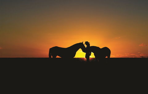 Outback Pony Rides Farm Experience - Accommodation Search 0