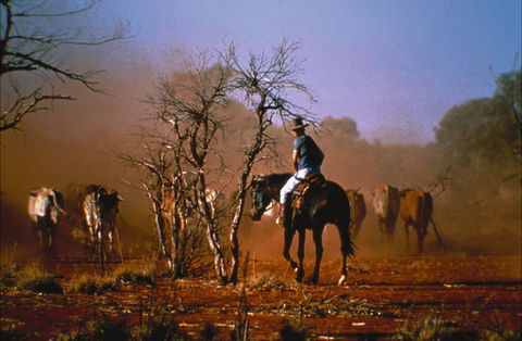 Outback Heritage And Coal Adventure - Accommodation Search 0