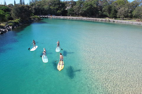 Paddleboard At Back Creek South West Rocks - Accommodation Search 0