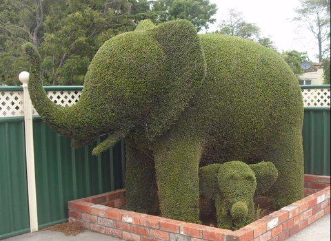 Railton: Town Of Topiary - Accommodation Search 0