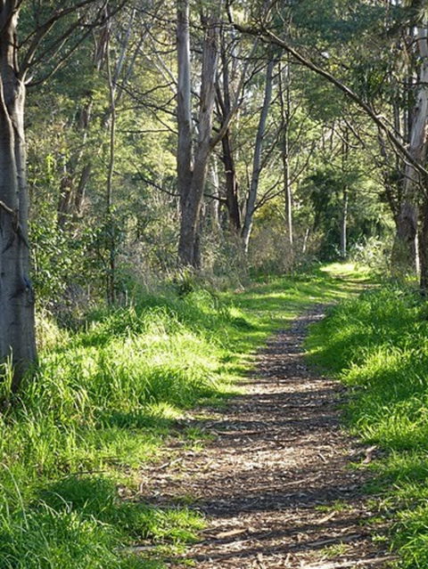 Stoodley Forest Walk And Arboretum - Accommodation Search 0