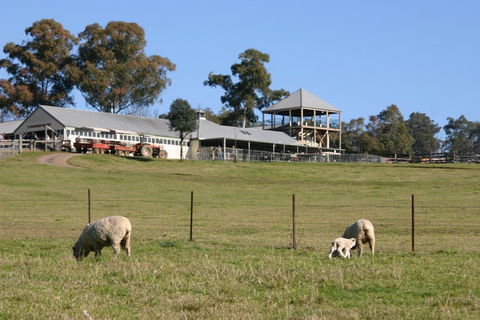 Calmsley Hill City Farm - Accommodation Search 0