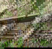 Daisy Hill Koala Centre - Accommodation Search
