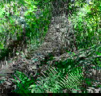 Djiru National Park - Accommodation Search