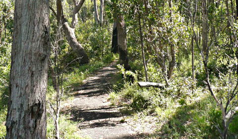 Euglah Rock Walking Track - Accommodation Search 0