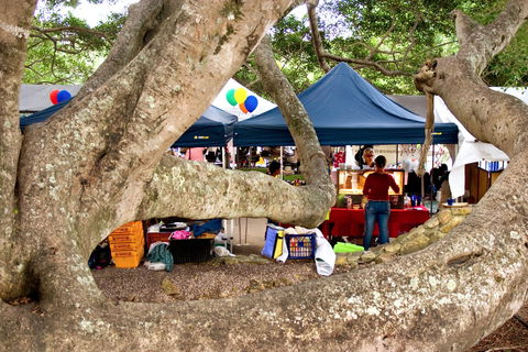 Eumundi - Accommodation Search 0