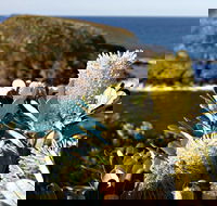 Green Island Walking Track - Accommodation Search