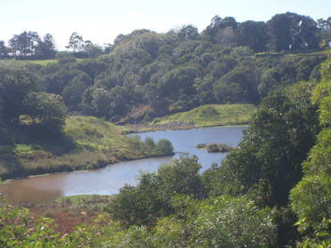 Jerrara Dam - Accommodation Search 0