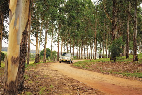 Kumbia - Accommodation Search 0